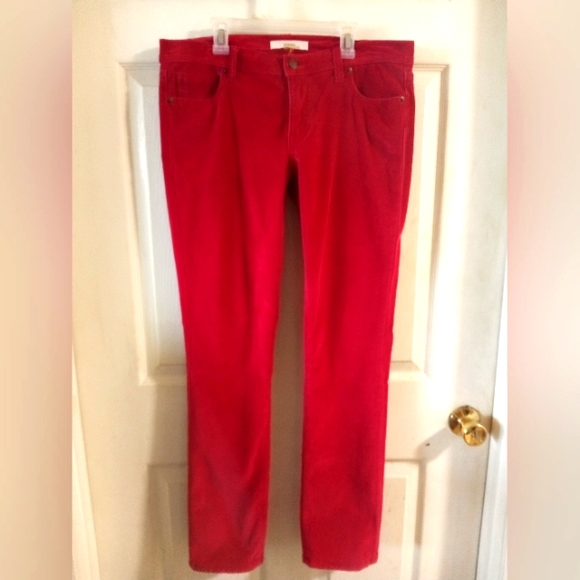 Suede Dress Pants - Picture 1 of 3